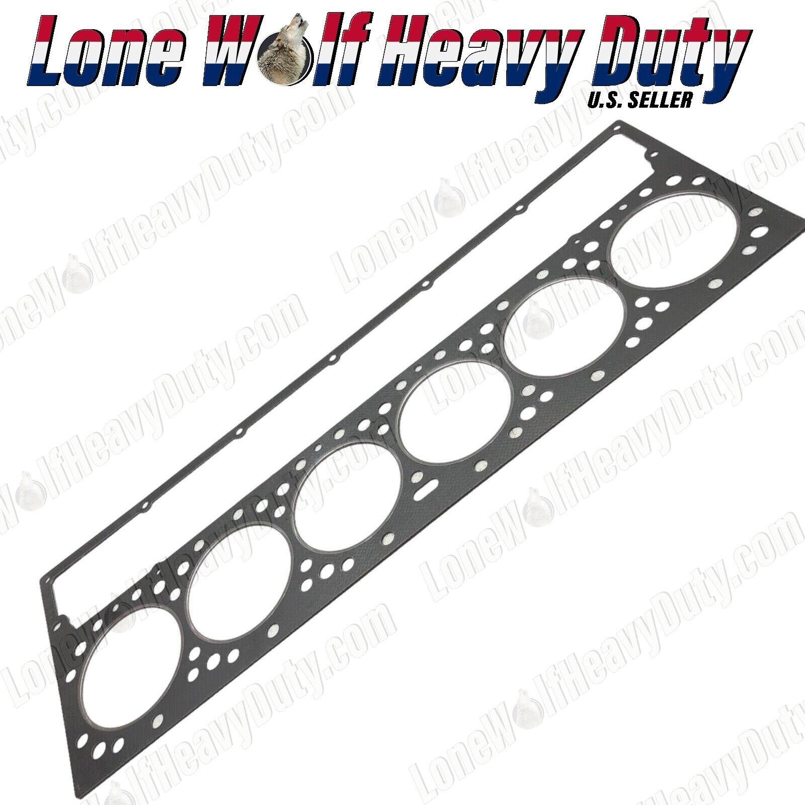 タイマイ剥製 Yahoo!オークション -「タイマイ 剥製」の落札相場・落札価格